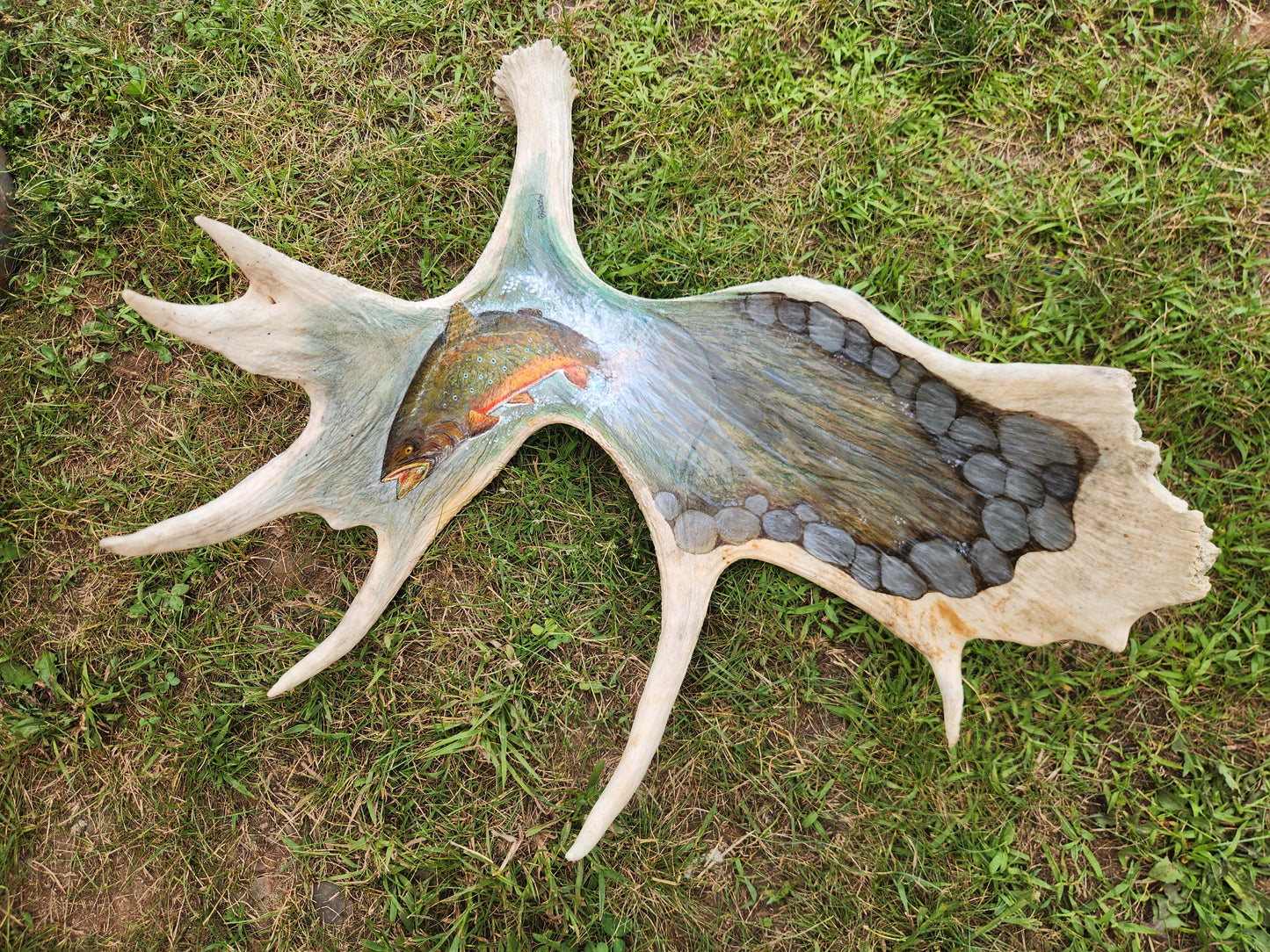 Hand Painted Moose Antler (Brook Trout)